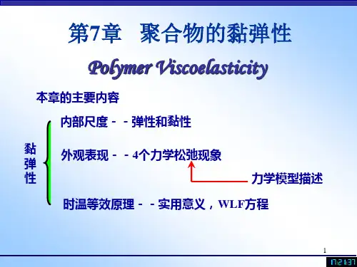 7 粘弹性