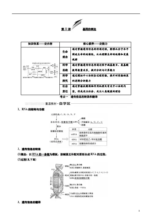 备战2020年高考生物一轮复习第21讲  基因的表达 讲义