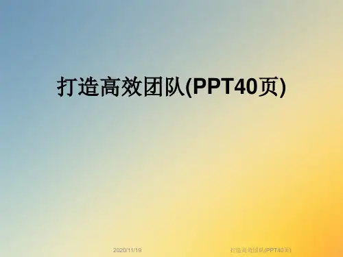 打造高效团队(PPT40页)