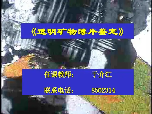 (8)透明矿物薄片鉴定