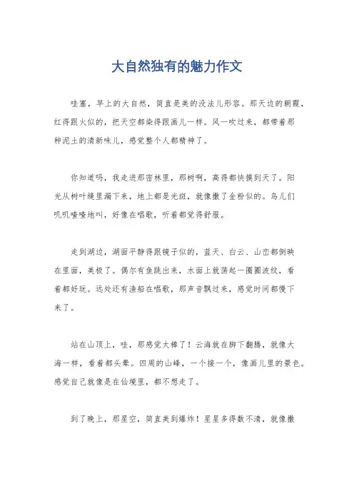 大自然独有的魅力作文