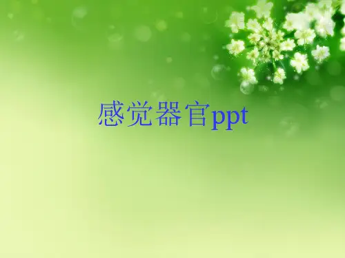 感觉器官ppt优秀课件