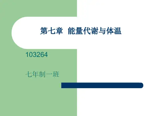 生理学-第七章--能量代谢与体温课件