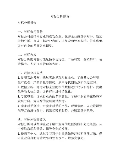 对标分析报告