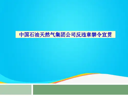 (推荐)反违章禁令宣贯教材PPT资料