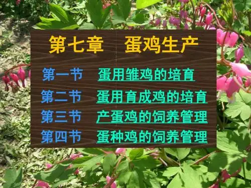 第七章 蛋鸡生产