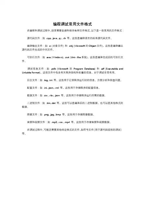 编程调试常用文件格式