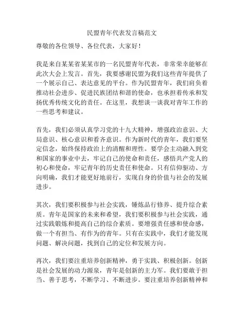 民盟青年代表发言稿范文