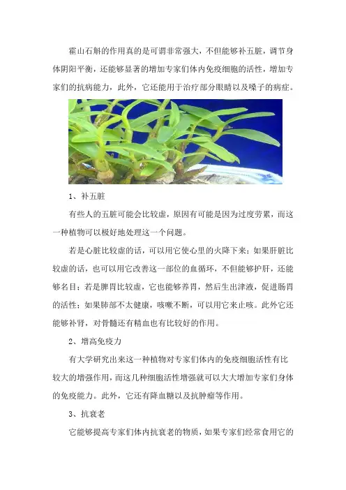 霍山石斛的功效与作用