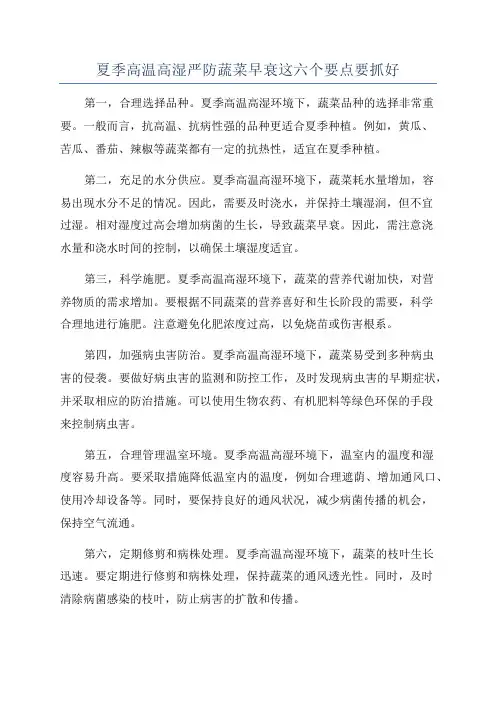 夏季高温高湿严防蔬菜早衰这六个要点要抓好