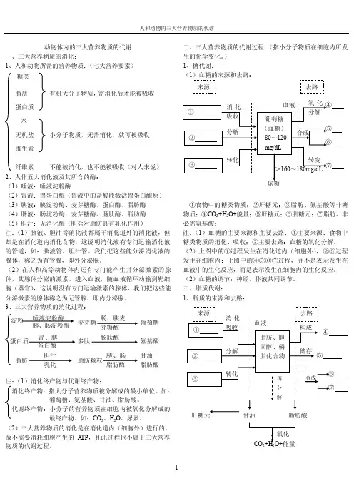 动物体内的三大营养物质的代谢