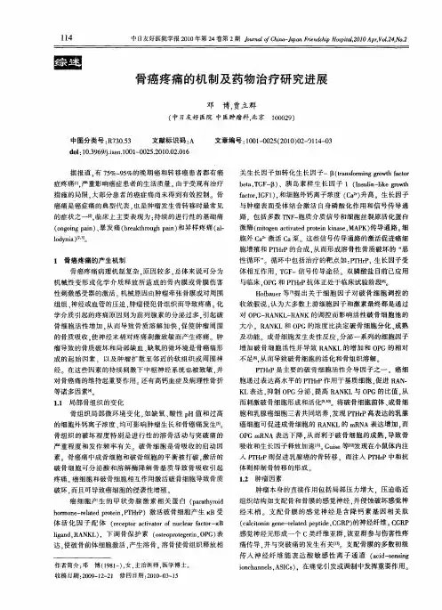骨癌疼痛的机制及药物治疗研究进展