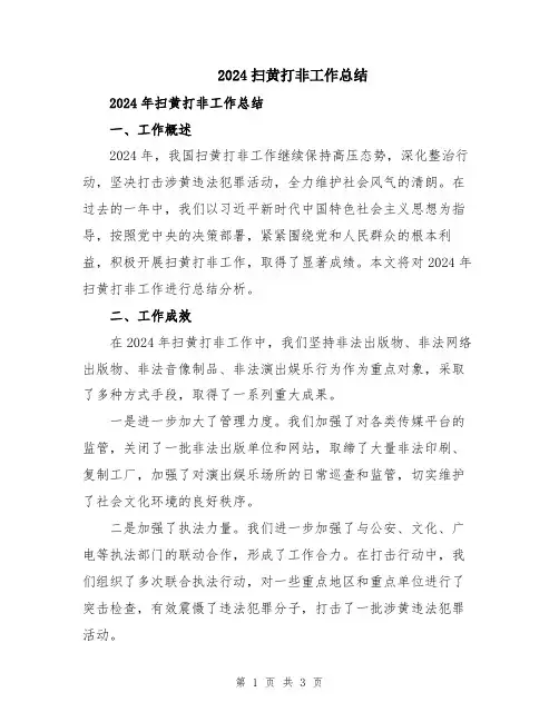 2024扫黄打非工作总结