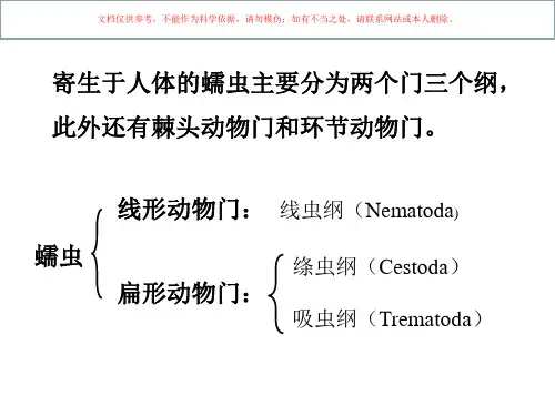 医学蠕虫学医学知识讲座培训课件