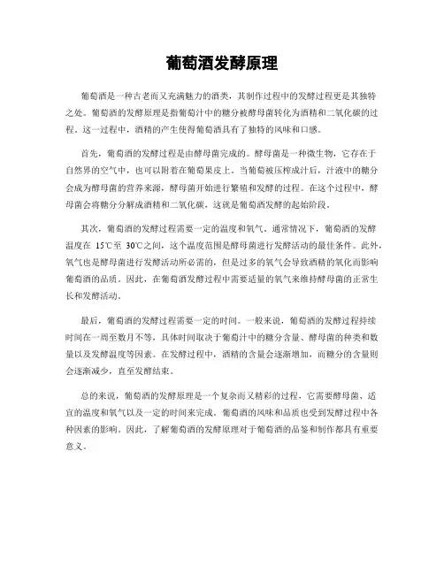 葡萄酒发酵原理
