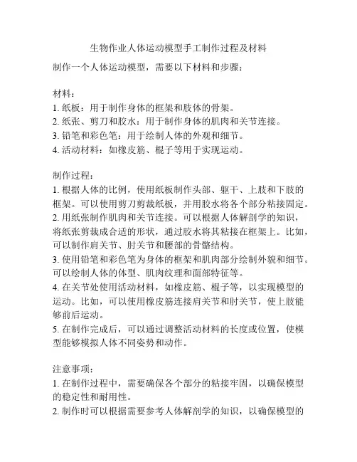 生物作业人体运动模型手工制作过程及材料