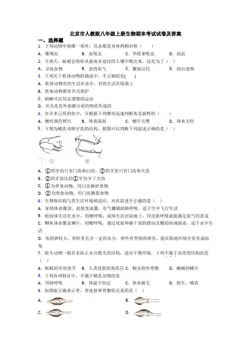 北京市人教版八年级上册生物期末考试试卷及答案
