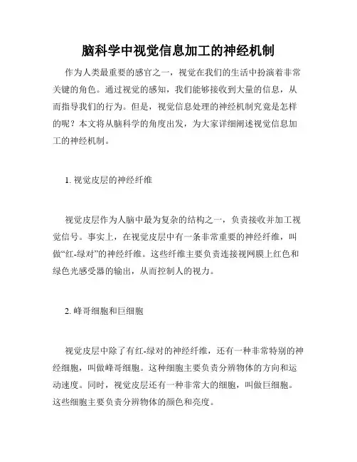 脑科学中视觉信息加工的神经机制