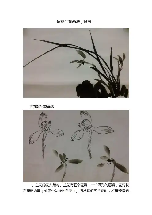 写意兰花画法，参考！