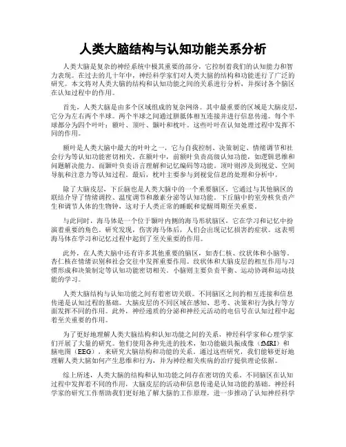 人类大脑结构与认知功能关系分析