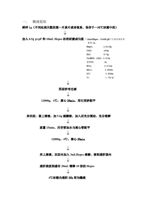 蔗糖酶的测定方法