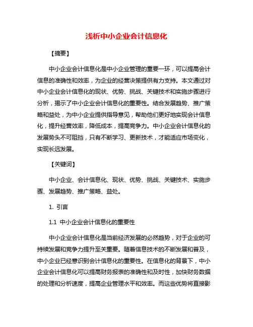 浅析中小企业会计信息化