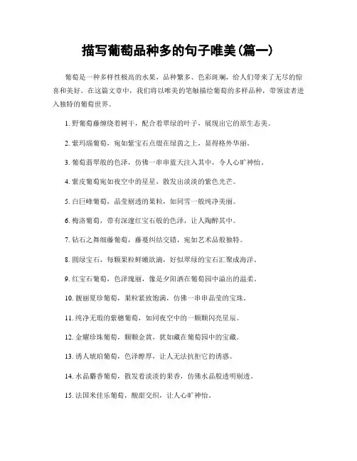 描写葡萄品种多的句子唯美(精选2篇)