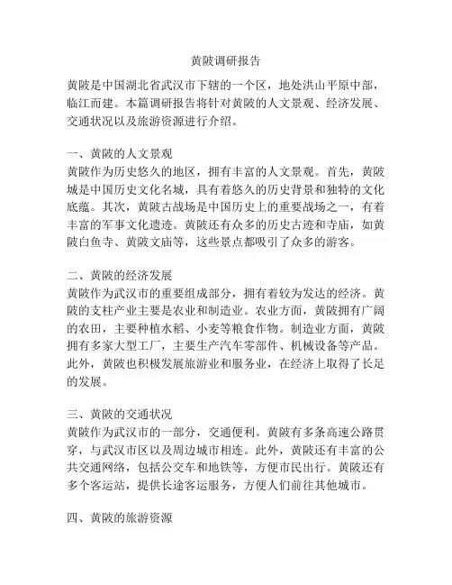 黄陂调研报告