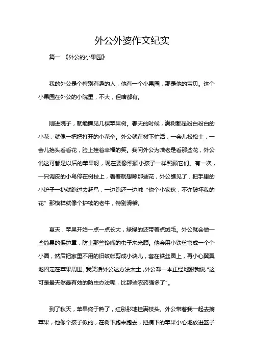 外公外婆作文纪实