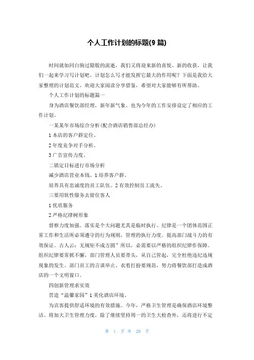 个人工作计划的标题(9篇)