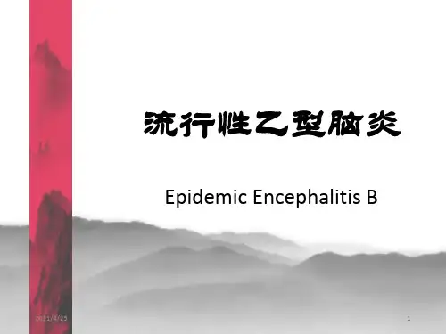 《流行性乙脑》PPT课件