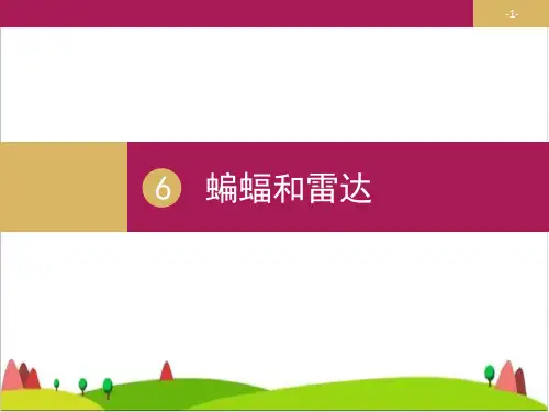 《蝙蝠和雷达》ppt优秀课件