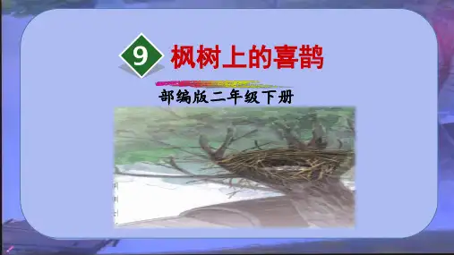 人教部编版枫树上的喜鹊--课件(共26张PPT)