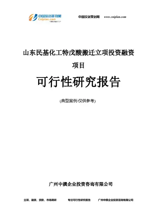 山东民基化工特戊酸搬迁融资投资立项项目可行性研究报告(非常详细)