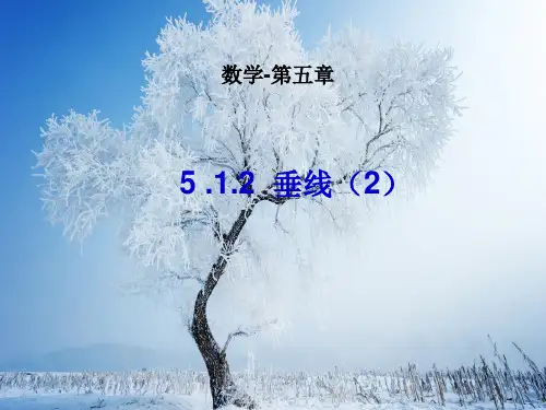 相交线PPT教学课件