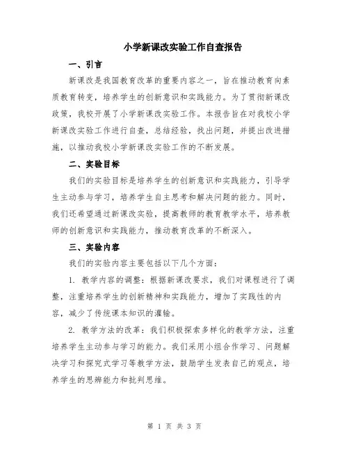 小学新课改实验工作自查报告