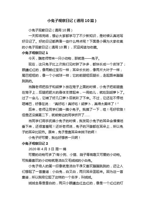 小兔子观察日记（通用10篇）