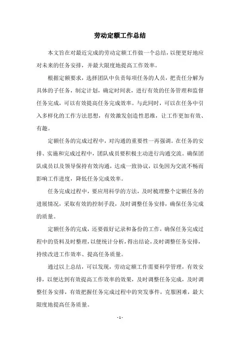 劳动定额工作总结