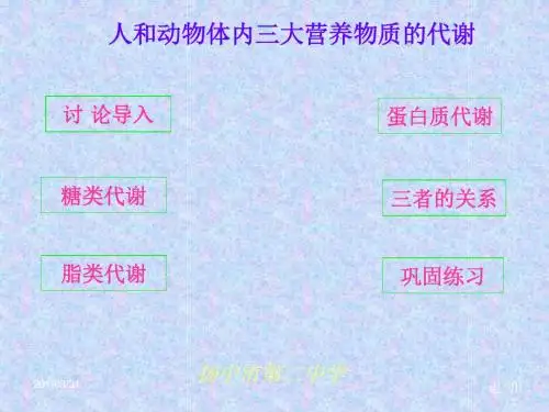 人和动物体内三大营养物质的代谢ppt3