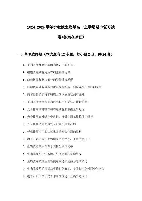 2024-2025学年沪教版高一上学期期中生物学试卷及答案指导