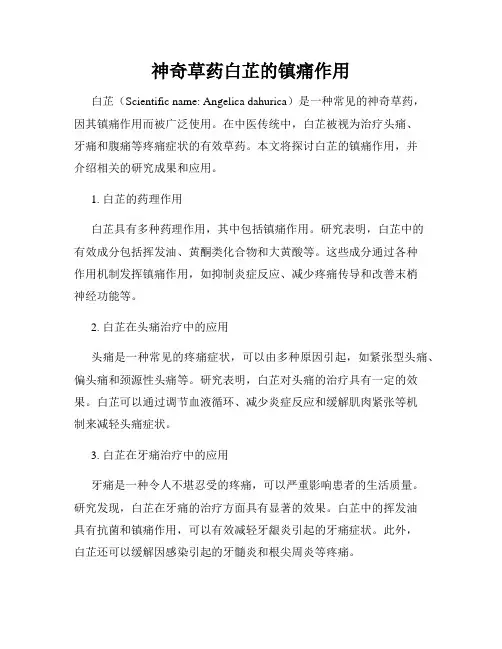 神奇草药白芷的镇痛作用