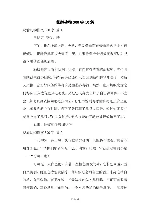 观察动物300字10篇