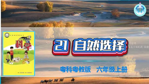 粤科粤教版科学六年级上册21自然选择课件PPT