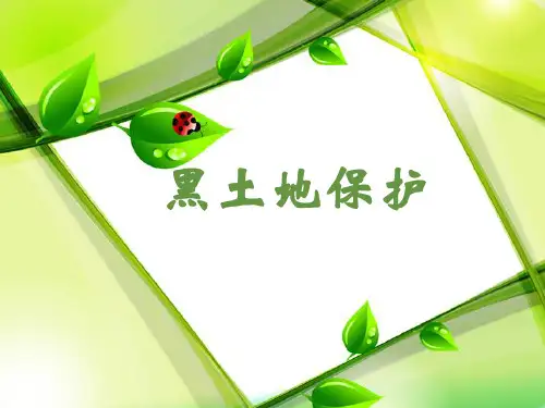 黑土地保护