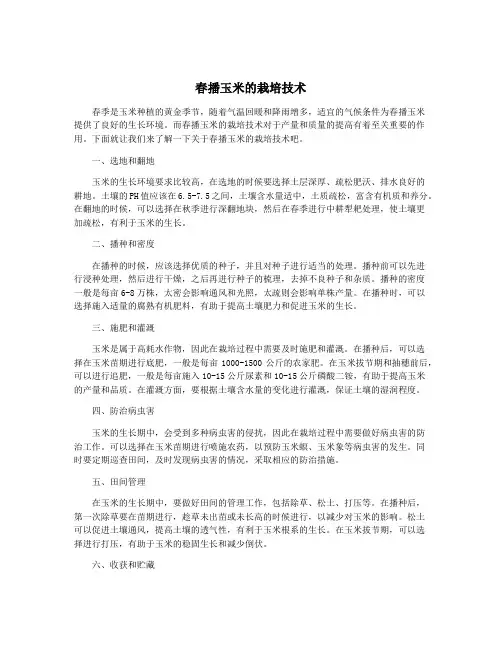 春播玉米的栽培技术