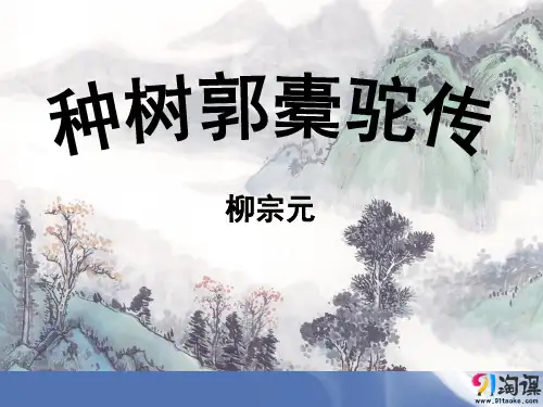 课件2：种树郭橐驼传