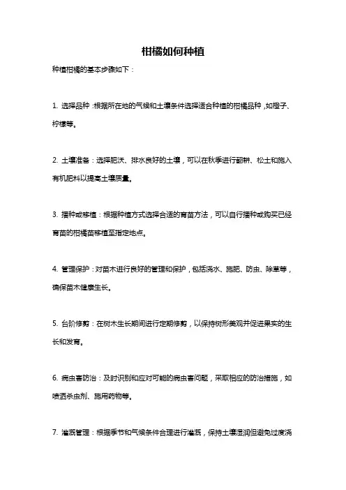 柑橘如何种植