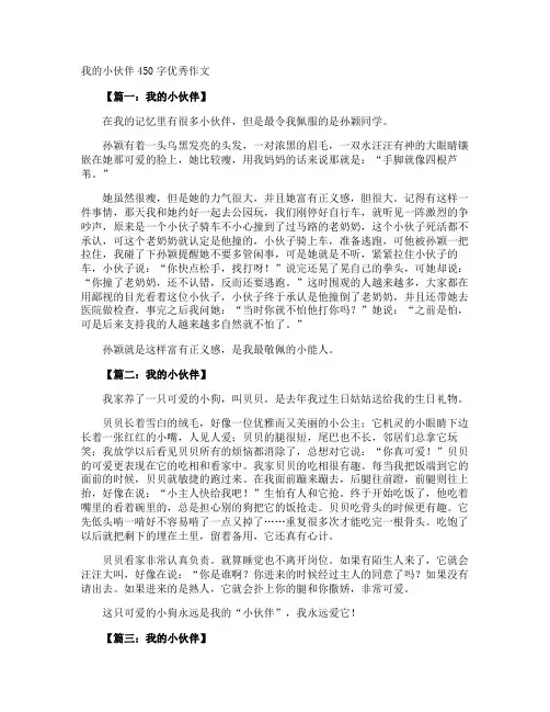 我的小伙伴450字优秀作文
