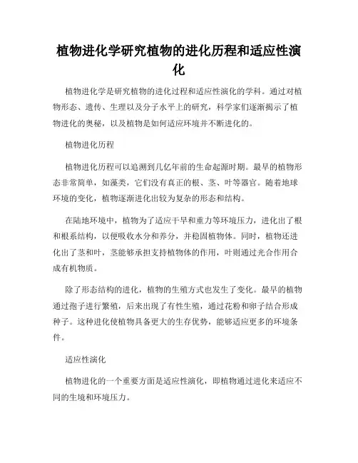 植物进化学研究植物的进化历程和适应性演化