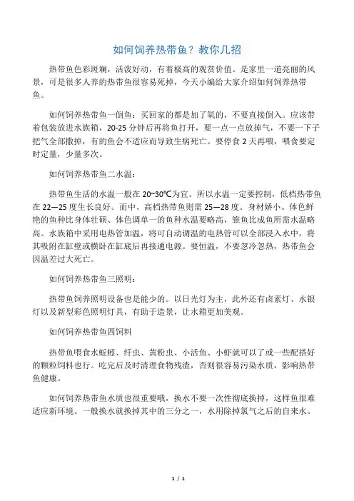 如何饲养热带鱼？教你几招